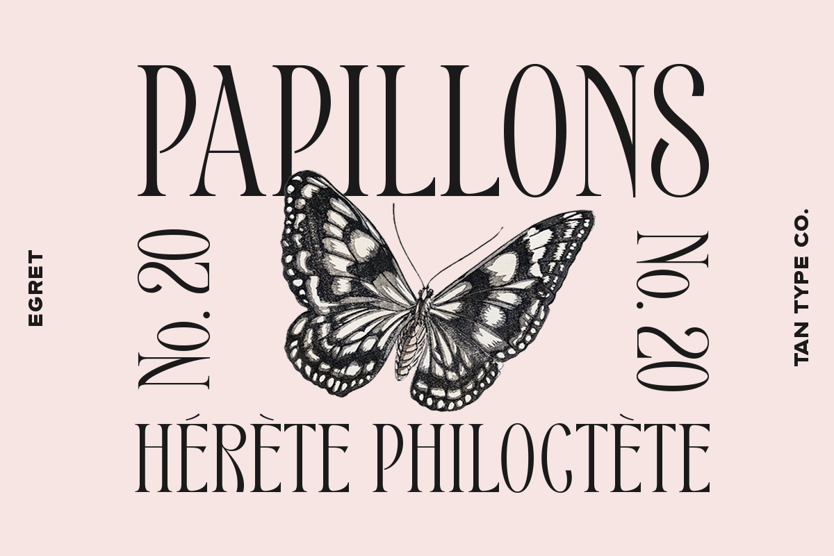 TAN - EGRET, a Serif Font by TanType (Photo 15 of 19)