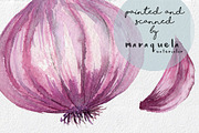 Vegetables in watercolor hand made, a Food Illustration by MaraquelaStudio (Thumbnail 4 of 4)