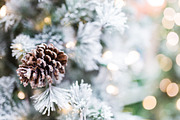 White Christmas tree photo BUNDLE, a Holiday Photo by TruElegance Photos (Thumbnail 3 of 5)