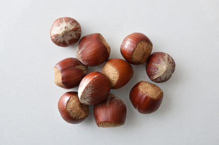 Heap of hazelnuts in shell isolated on white table, a Food & Drink Photo by Davizro's Market