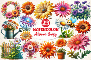 African Daisy Flower Bloom Clipart, an Illustration by Dream Creation