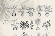 Tropical black& white plants, a Decorative Illustration by Jeanna Draw (Thumbnail 15 of 19)