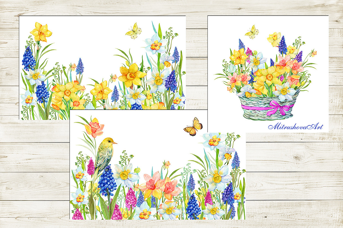 Daffodil  Narcissus  Watercolour, an Illustration by MitrushovaArt (Photo 5 of 7)