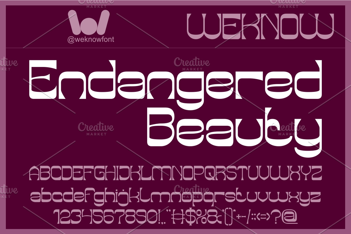 Endangered Beauty font, a Sans Serif Font by weknow (Photo 1 of 8)