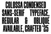 COLOSSA - Condensed Font, a Sans Serif Font by Oskar Biehl (Thumbnail 2 of 11)