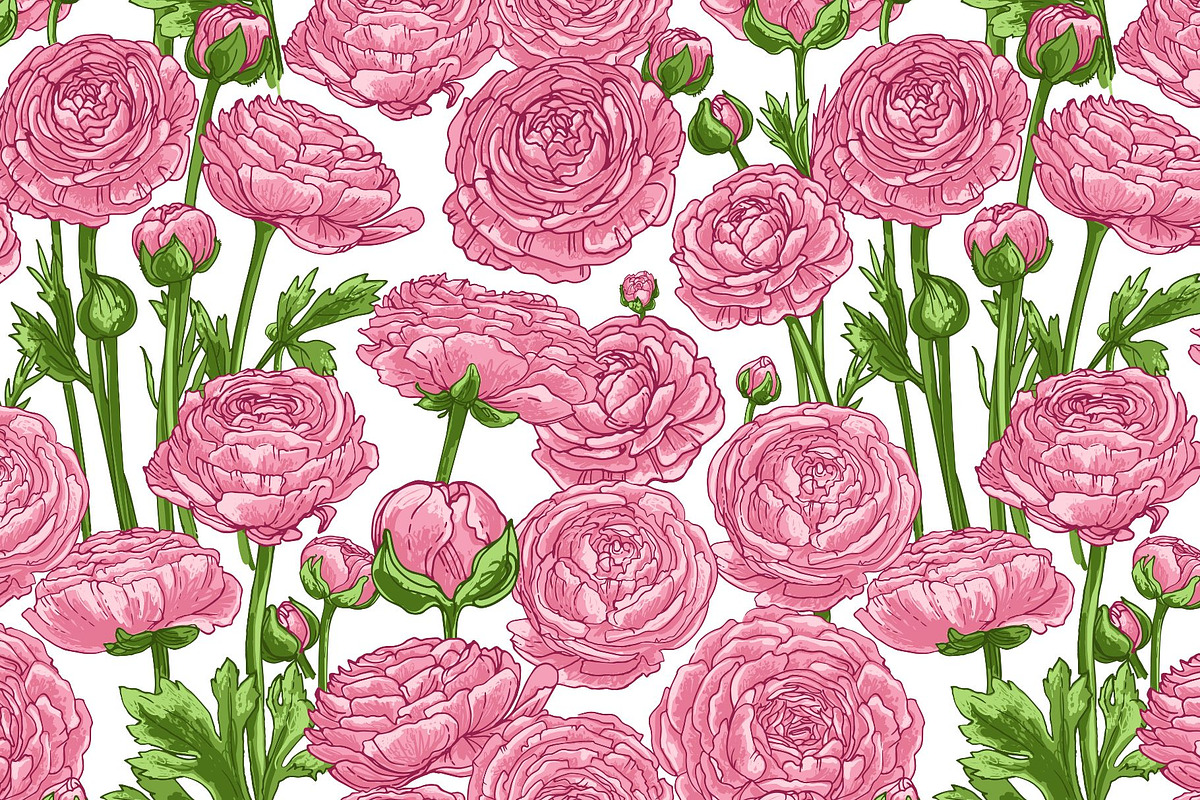 Ranunculus flowers. Buttercup Vector, a Decorative Illustration by irina.vaneeva (Photo 4 of 4)
