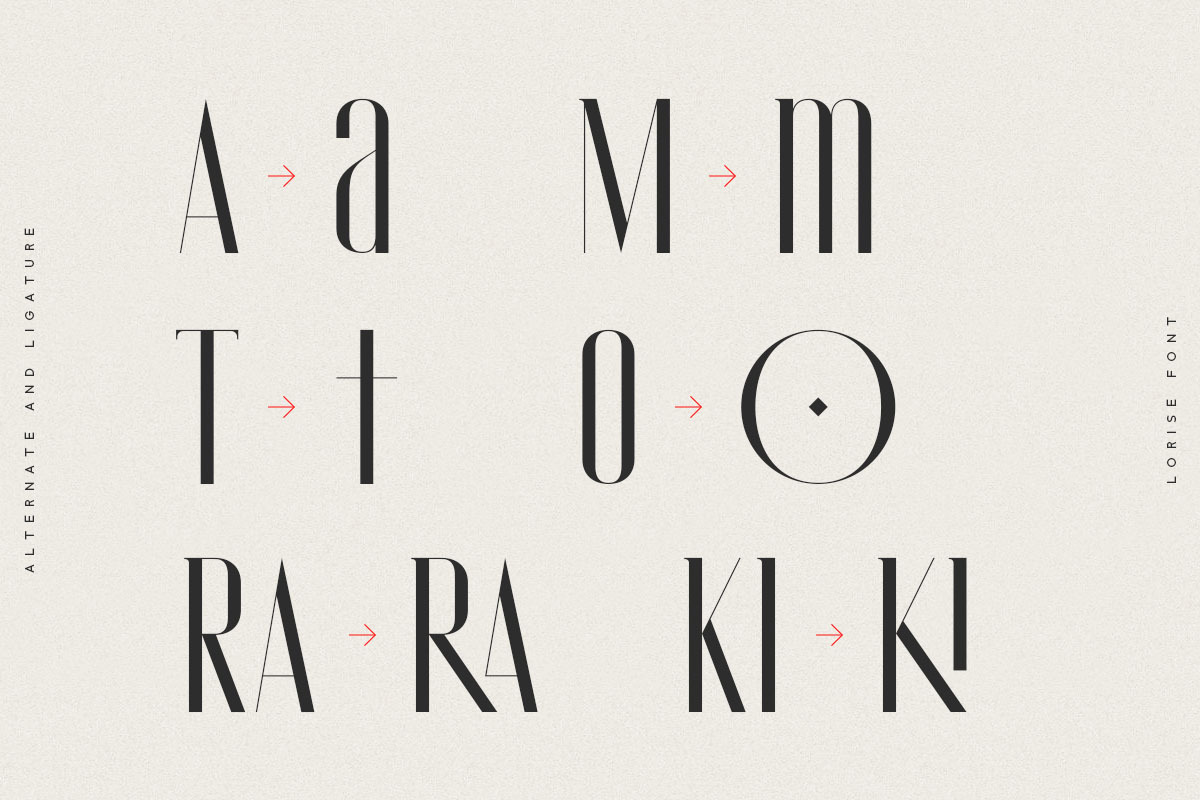Lorise Font, a Sans Serif Font by vuuuds (Photo 18 of 21)