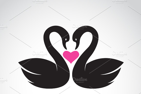 Vector Image Of Two Loving Swans