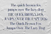 MAVERICK BELLY, a Serif Font by elevencreateam (Thumbnail 4 of 13)