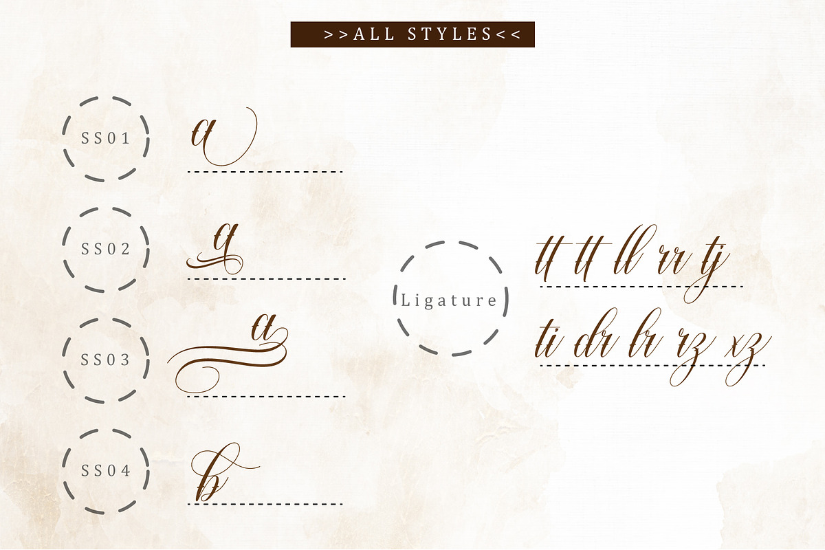 Warton, a Script Font by Reza Studio (Photo 12 of 13)