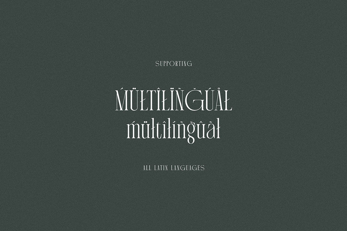 Martin Langley Elegant Serif, a Serif Font by Cruzine (Photo 8 of 8)