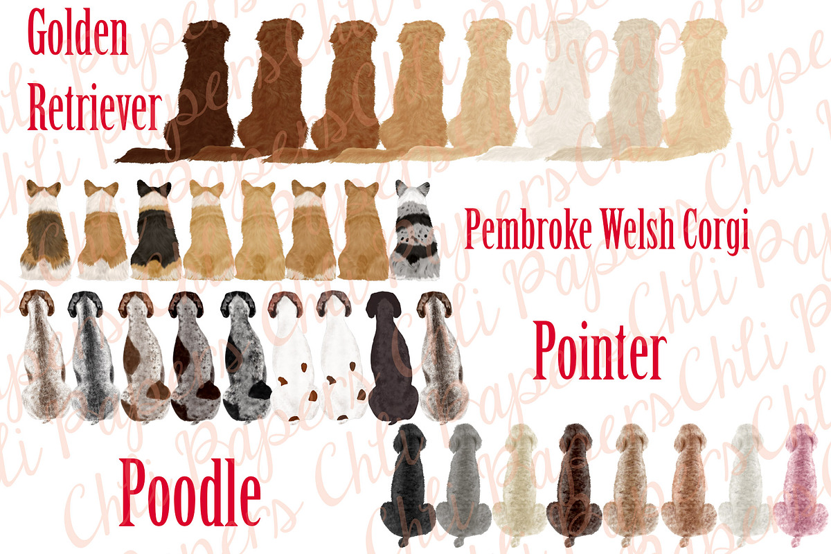 Dog Breeds Clipart,Dogs clip art, an Illustration by chilipapers (Photo 3 of 4)