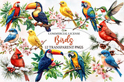 Birds on Branch Clipart Bundle, an Illustration by Designworld (Thumbnail 1 of 4)