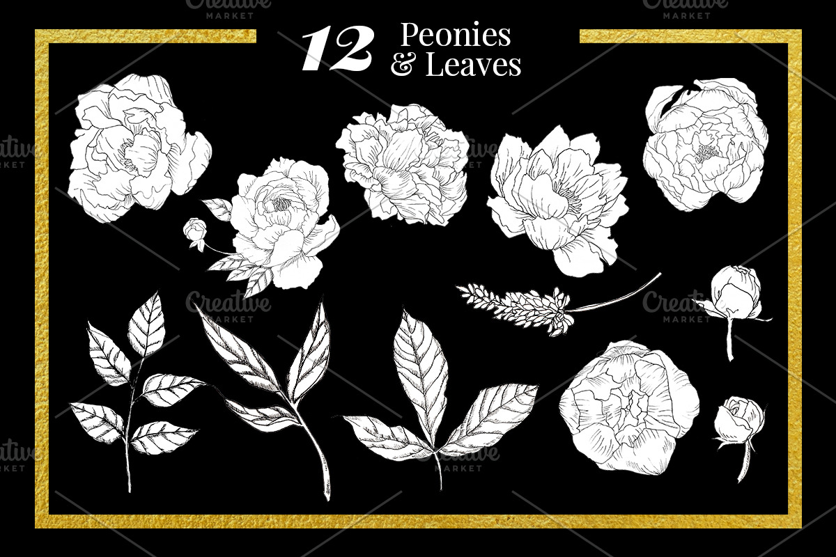 Claire & Luna - Handdrawn Peonies, an Illustration by clairedelune (Photo 2 of 7)