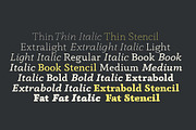 Anaphora - 22 Fonts, a Serif Font by Zetafonts (Thumbnail 3 of 11)