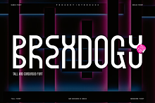 Brexdogy - Tall & Sans Font
