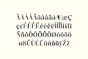 Modest Steady Display Serif Font, a Serif Font by UICreative (Thumbnail 10 of 13)