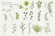 Forest Tales Watercolor Collection, a Decorative Illustration by Aurella Art (Thumbnail 3 of 17)