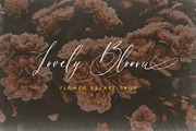 Brown Amsonia, a Script Font by Nathatype (Thumbnail 3 of 10)