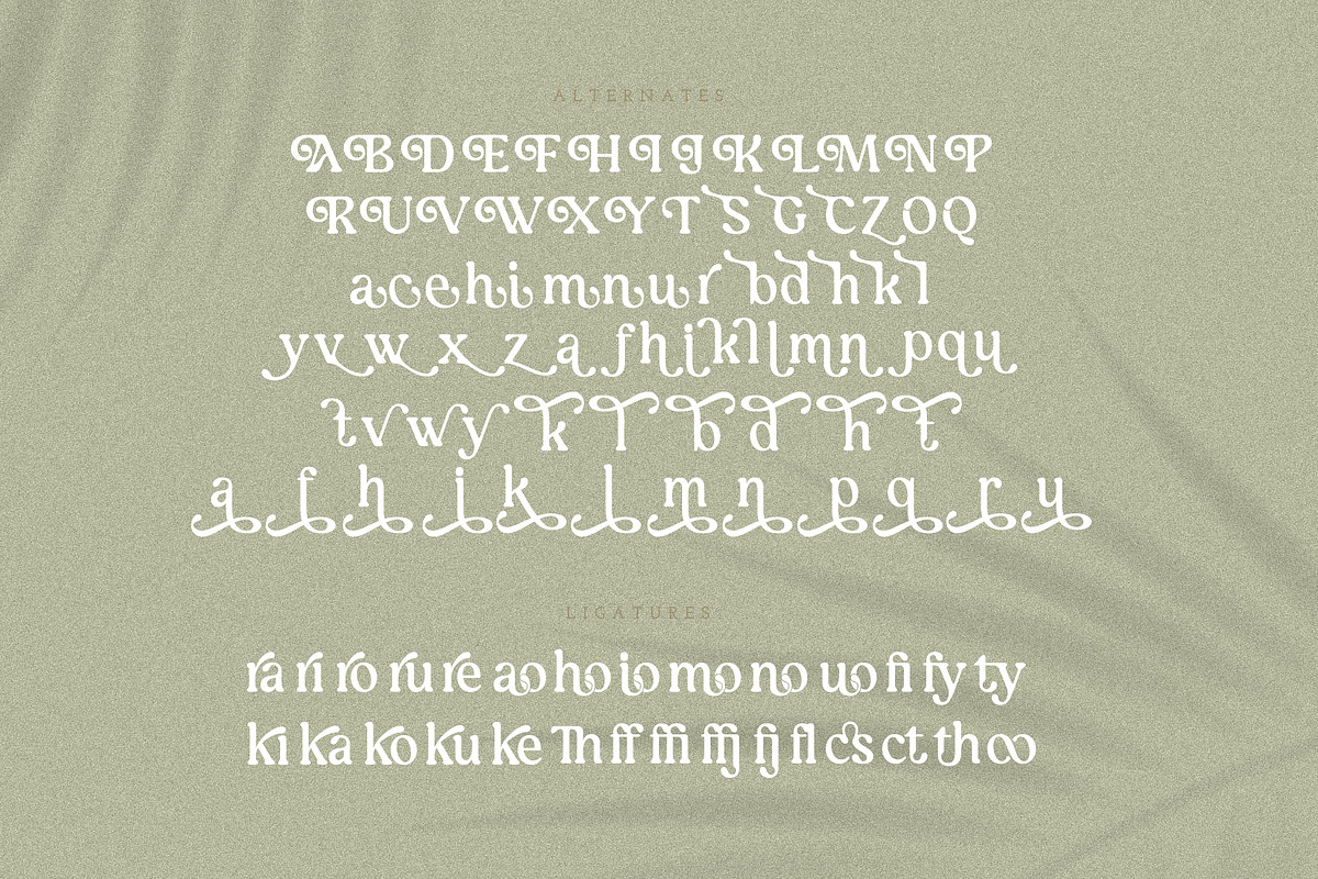 Rusty Love - Retro Vintage Charm, a Serif Font by Annivers Type (Photo 9 of 10)