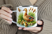 Duck Family Clipart – 20 PNG., an Animal Illustration by GalaDesign03 (Thumbnail 6 of 6)