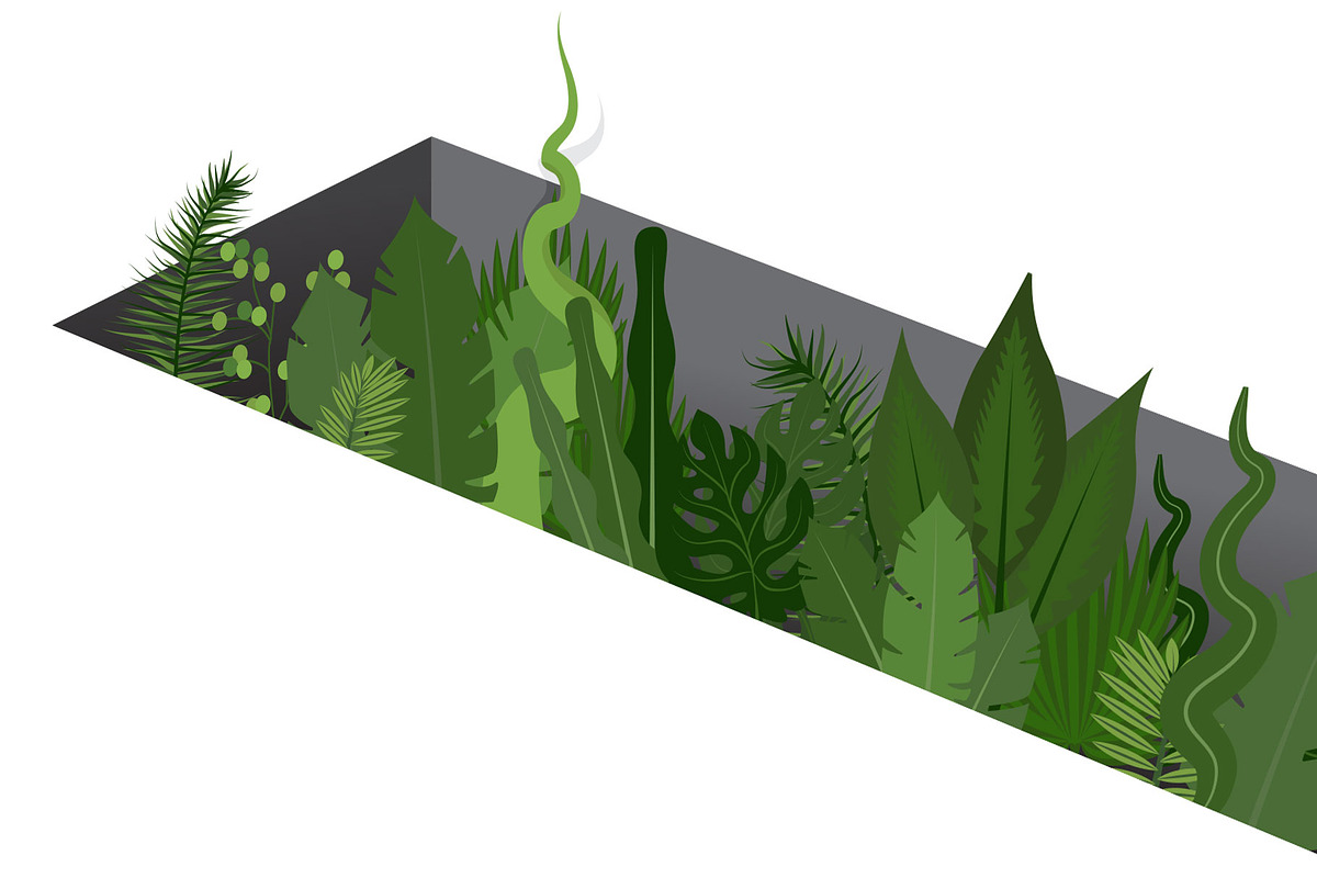 Customizable Jungle Leaf Vectors, an Illustration by Flavor Graphics (Photo 3 of 3)