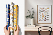 Cool Cats. Cliparts, Patterns, ABC., an Animal Illustration by DearLetters (Thumbnail 2 of 17)
