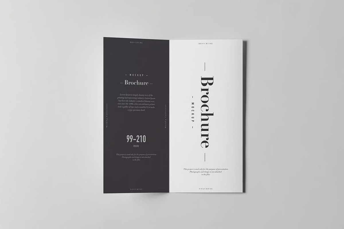 Tri-Fold DL Brochure Mock-up, an Advertising Mockup by zippypixelstudio (Photo 10 of 11)