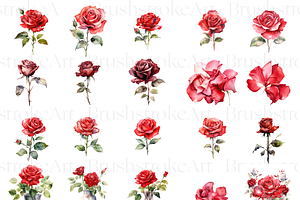 Watercolor Rose Flower, Red Rose PNG