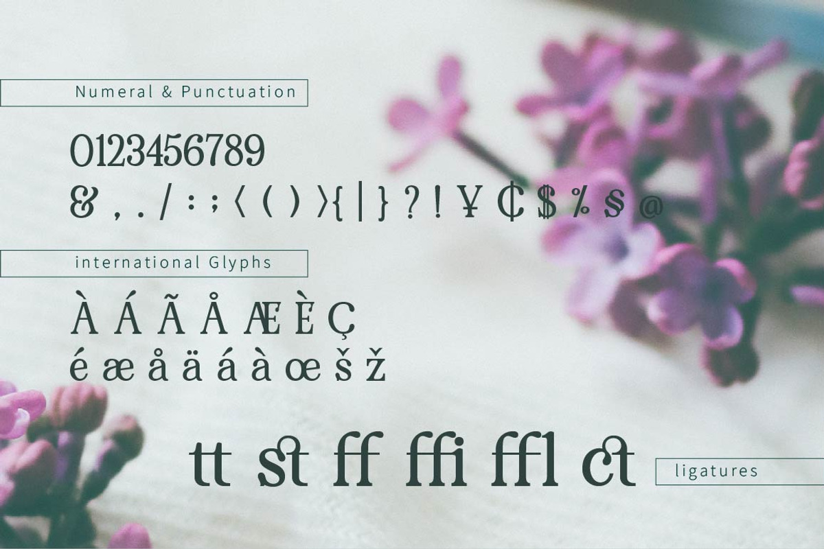 RENDA - Serif preview 8