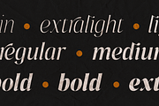 Pure Motif - An Elevated Serif Font, a Serif Font by VP Fonts (Thumbnail 10 of 27)