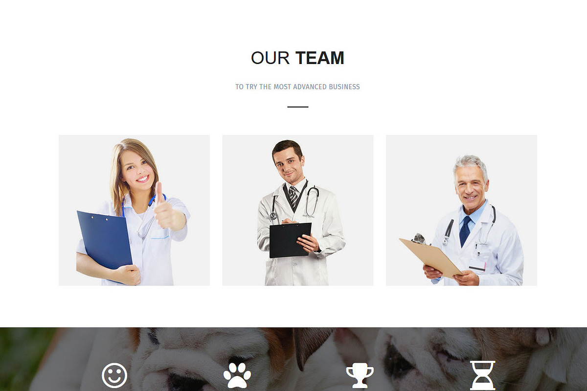 Pet Veterinary, a Bootstrap Template by VALIASOLUTION SHOP (Photo 2 of 7)