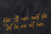 Scotland Stories | Modern Script, a Script Font by RedyStudio (Thumbnail 13 of 14)