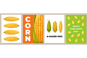 Vegetable corn cards. Sweet maize, an Animal Illustration by YummyBuum