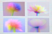 Blurred Floral Ethereal Backgrounds, a Background Graphic by Anzhelika (Thumbnail 5 of 9)