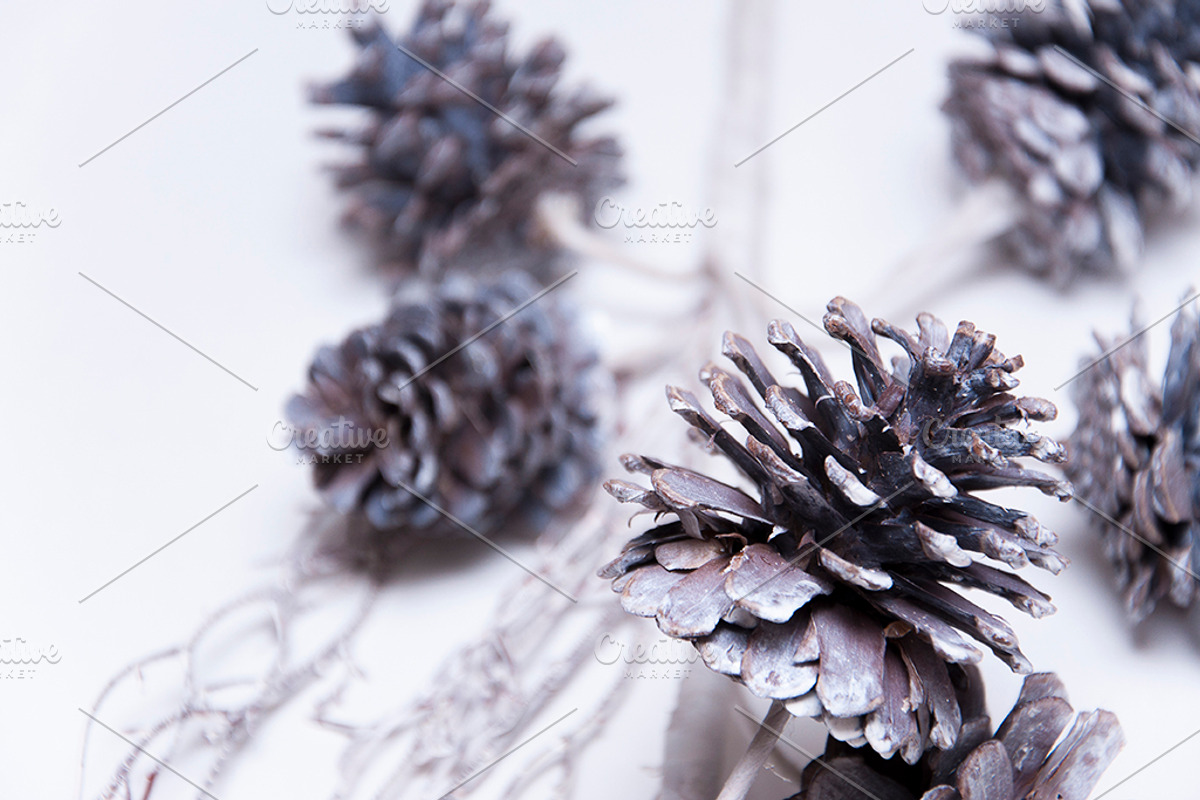Holiday Stock Bundle, a Holiday Photo by r.r.palacios (Photo 5 of 6)