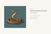 NZ & Australian Animals, Set 20, an Animal Illustration by LanternkinStudio (Thumbnail 11 of 12)