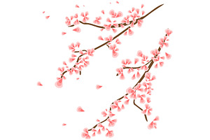 Branch with sakura flowers