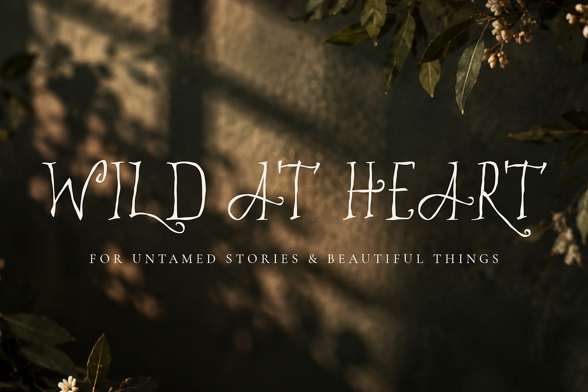 MEOWILD – Whimsical Hand Drawn Font, a Handwritten Font by Karma (Photo 2 of 11)