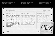 GC Beluga Mono - Elegant Modern Mono, a Serif Font by Glyphonic (Thumbnail 9 of 15)