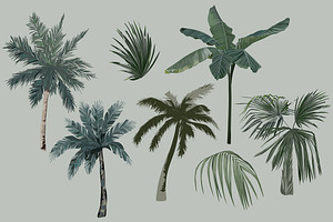 Vintage Palm Trees Set