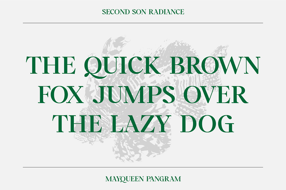SS Mayqueen - Classy Vintage Serif, a Serif Font by Typocracy Studio (Photo 9 of 10)