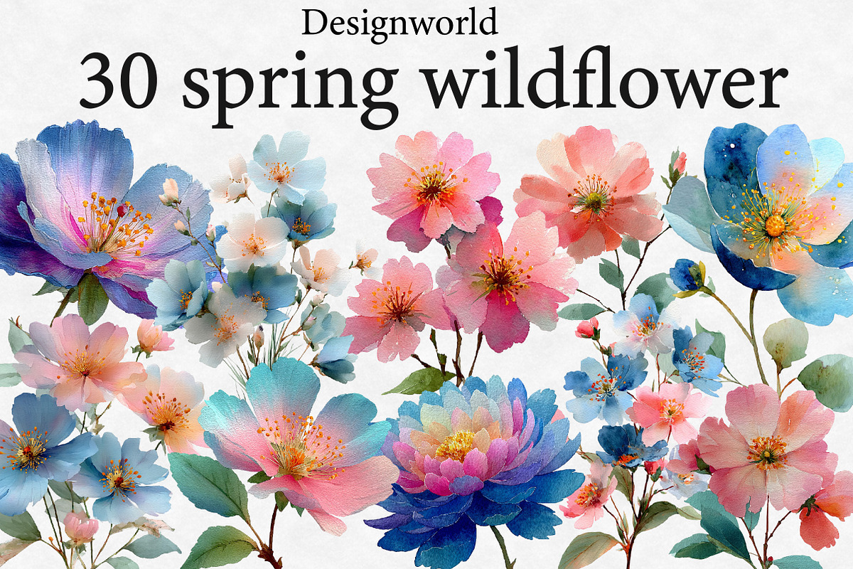 spring wildflower clipart, an Illustration by Designworld (Photo 1 of 5)