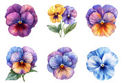Watercolor Pansy Flowers Clipart, an Illustration by SinaCreation (Thumbnail 3 of 5)