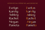 Lanson Font Family, a Sans Serif Font by Larin Type Co. (Thumbnail 5 of 15)