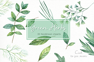 Green Herbs Watercolor Clipart