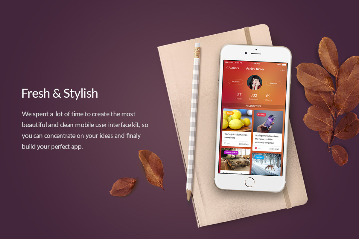 Chameleon UI Kit, an UI Kit Template by UI Chest | Creative Market