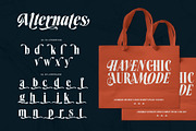 Demarun Font, a Serif Font by alit design (Thumbnail 12 of 20)