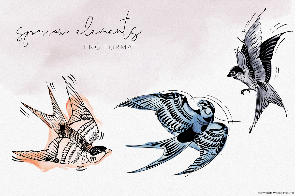 Sparrows Watercolor & Ink Design Kit, a Texture Illustration by Wooly Pronto (Photo 5 of 7)