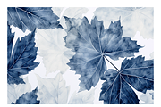Cyle Collection · Blue Tone Leaves, a Background Graphic by milatovar (Thumbnail 16 of 32)